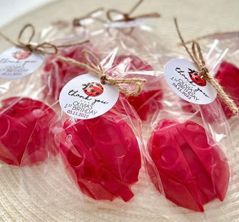 Ladybug Soap Favors - Red Kids Birthday Decor Gift Girl, Ladybug Baby Shower Party Decorations, First 1st Sweet ONE Lady Bug Garden Birthday