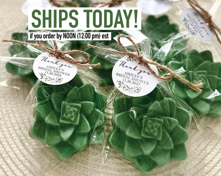 succulent bridal shower favors Succulent Soap Favors --- Bridal Shower Favors, Baby Shower Favors, Succulent Party Favors, Rustic Bridal Baby Shower Wedding Birthday Decor